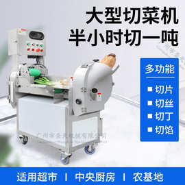 台湾多功能变频双头切菜机 切丝切片机切块一体机 切丝粗细可调节