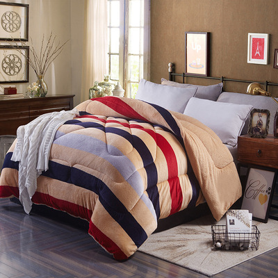 Winter Warm Flannel ComForter Duvet Quilt Blanket BeDs The quilt core