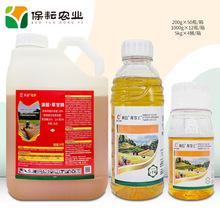 ����  Ѳ�� 32%���� �ݸ�� 5kg �Ǹ����s�� ��Ʒ�rș���݄�