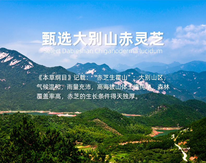 灵芝孢子粉_11