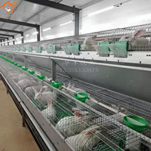 �Wʽ�û\ ��ĸ�û\ ���������Bֳ�\���O�� ���Ӻ��\�Wʽ�û\