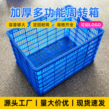 �������b���{ɫ�Ӻ�}��܇�g���I���������D�������;�ʳƷ�z��