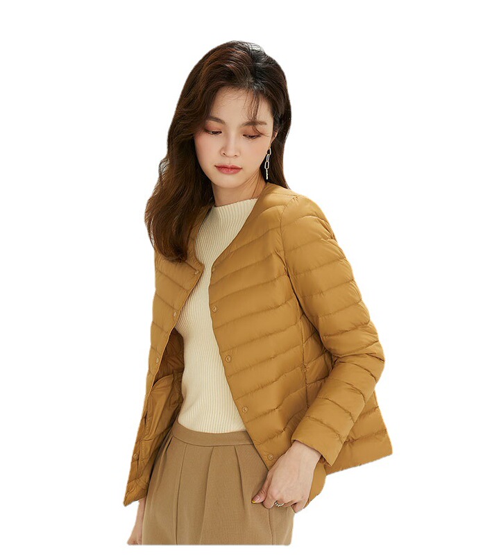 Cross-border down Jacket for Women, Thin, Short, Lightweight, Portable Inner Liner, 2023 New Autumn and Winter Outwear for Women, V Neck