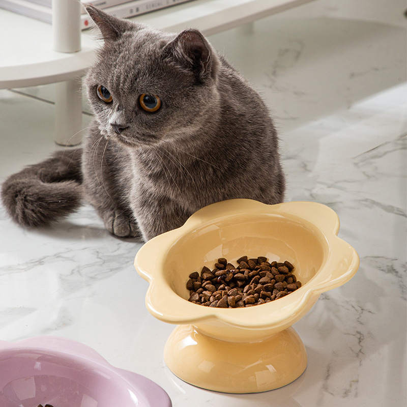 Fábrica al por mayor muestra personalizada tazón de cerámica para gatos macaron maceta maceta fábrica de color pequeño fresco comida para mascotas