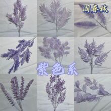 ��ɫϵ��c��Y����ɫ���ľƵ��픵��߷��滨���ٻ�����S�����l