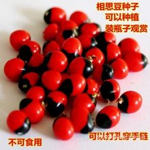 ��˼���N�� �uĸ��N�ӿ�ȸ���N�Ӻ��t���N�����˶��t���N��