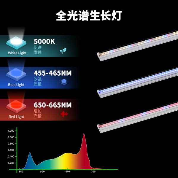 LED plant lamp