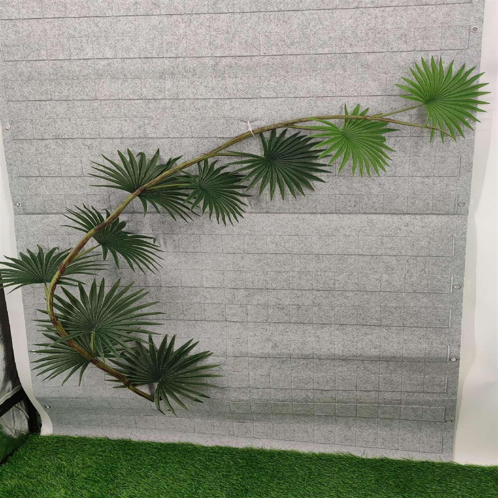 微信图片_202412311136441