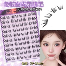 ����L���z�׹⬓�ٽ�ëб�w��ϵ��Ȼ���R�������ֶַ�ʽ�۽�ë