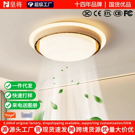 风扇灯;电风扇;吊扇