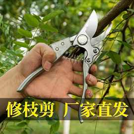 果树剪SK5枝剪园林工具花艺强力粗枝剪省力修枝剪切修花