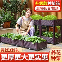 花箱种植箱种菜神器盆专用箱蔬菜家用盆塑料户外阳台楼顶花箱花盆