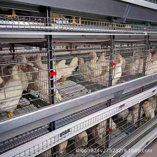 �����Bֳ���x��Cе���B�u�O��ꂥ�Bֳ�O���Č��B�u�\�r��