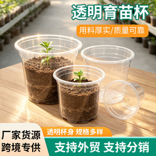 �羳�����m�m��ֲ��Nֲ͸�����籭�b�����ϻ���������Ӻ�I�B��