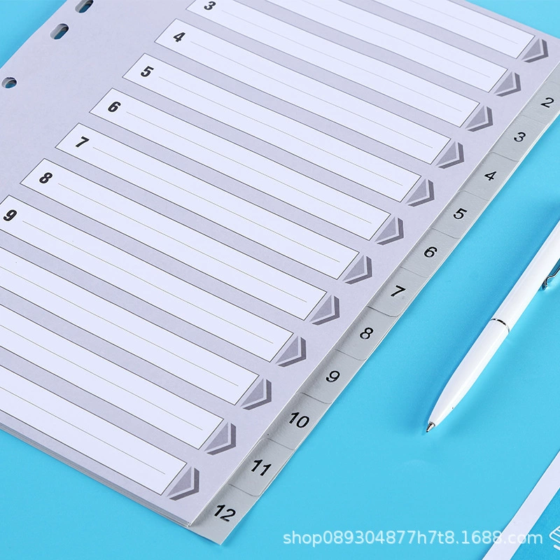 Qixin IX894 Easy Classification Годовой индекс А4 12 страниц 1-12 11 отверстий PP