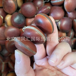 ���R�۹����M�ڝh�����ɹ��ɻ��b廨��Ȼֲ��ҾӔ[�O���նYƷ