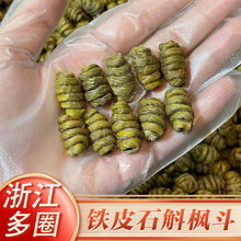 墨绿铁皮石斛石斛500克批发浙江产地多圈重手多胶一件代发