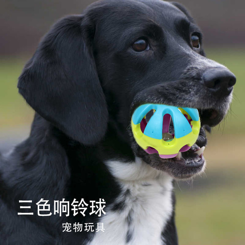 Pet toys colorful bell ball hollow plastic ball dog training sound toy cat and dog toy bell ball