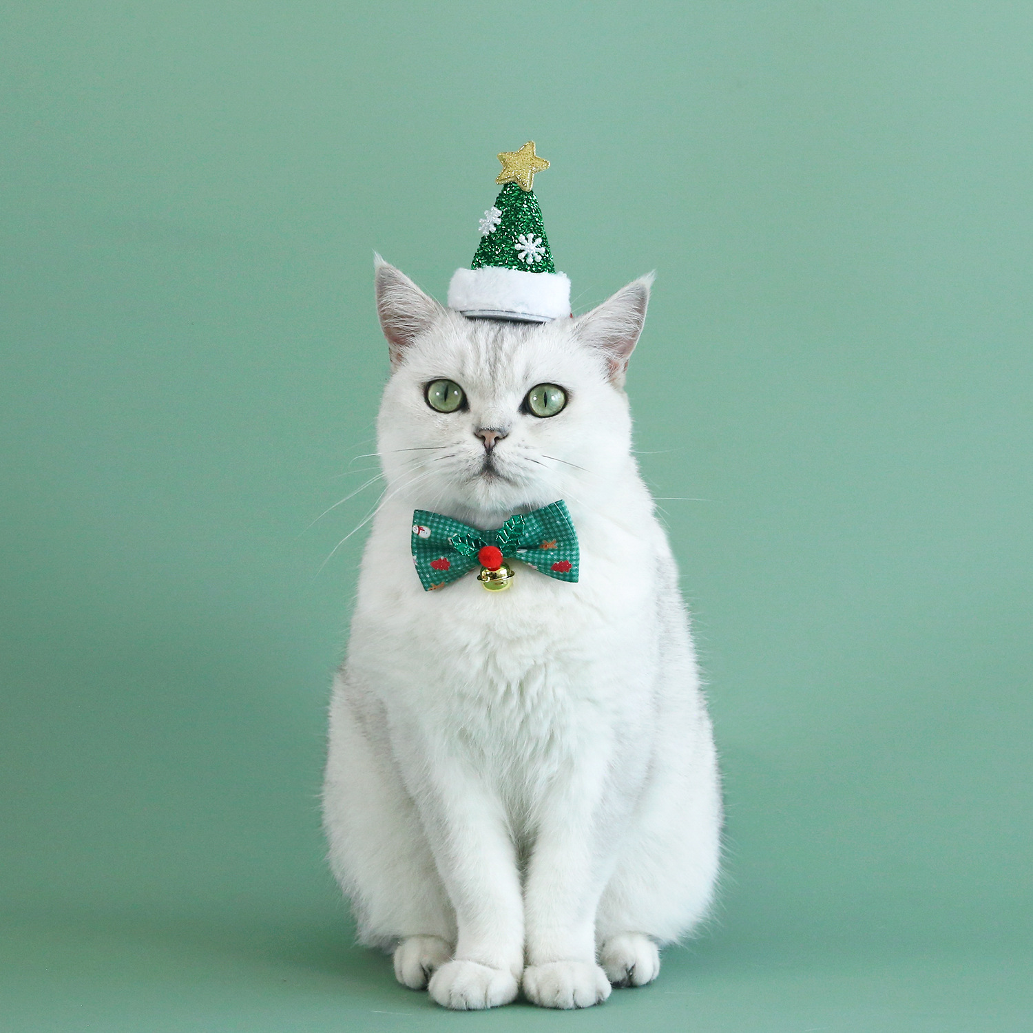 Sombrero de Navidad pet sequilla pet