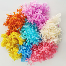 永生花安娜绣球干花按斤卖散装花diy材料礼盒情人节礼物感