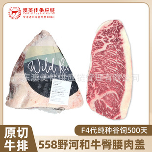 ����558Ұ��F4����ţM8-9+�������wԭ��С����ţ�ſ����������