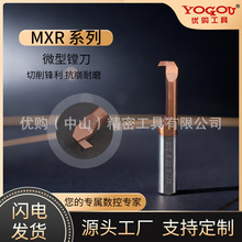 �F؛MXRС�׏��M���u�Ӳ�|�Ͻ��T�ӿ׏������M���ӹ��M��