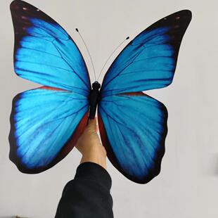 �赸����������w�b��пյ��왻����л�c����4S�����ͱ���ճ�N