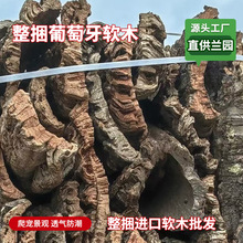 葡萄牙头层软木树皮板植兰花石斛鹿角蕨香槟树皮爬宠躲避水族装饰