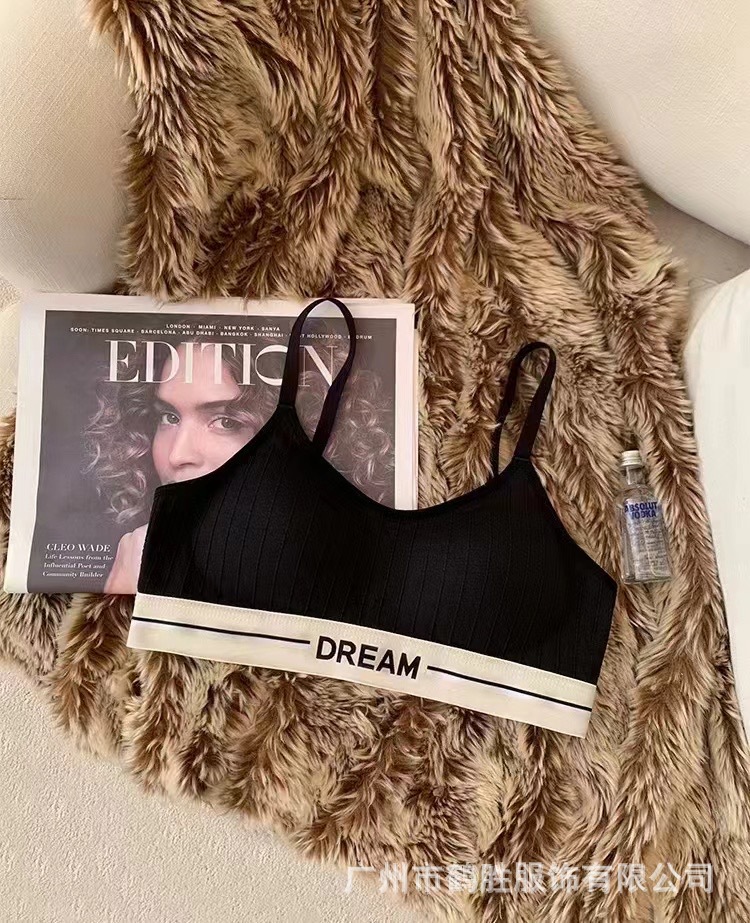 Venta directa de fábrica Comercio electrónico transfronterizo Sudeste de Asia Vietnam Tailandia Ladies Sin costuras Deportes Cómodo Recolección lateral sujetador