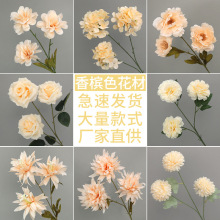 �㙉ɫ������b��滨����Y·�������廨�S�����l���ô�����