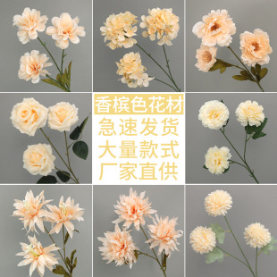 �㙉ɫ������b��滨����Y·�������廨�S�����l���ô�����