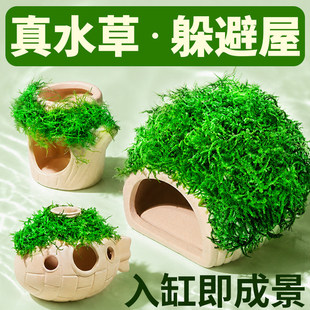 ����ˮ���~���쾰ȫ��Ī˹ˮ�ݶ����С�~�ה[���b��쾰��ֳ��