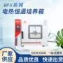 发芽微生物恒温恒湿培养箱