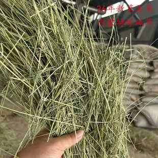 ���l�������2026��������ص��|���ɫ�G�|���ʸ�