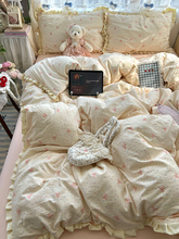 ļ׼ȫ2025¿αױִҴƷW