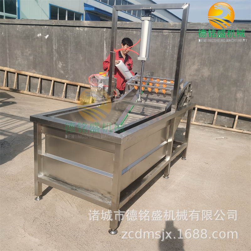 三明市荔枝气泡式清洗机 杨梅清洗设备 炸鸡爪子气泡清洗机