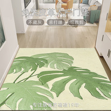 入户门口用地垫5新室内进门垫耐脏免洗pvc高级感防滑地毯