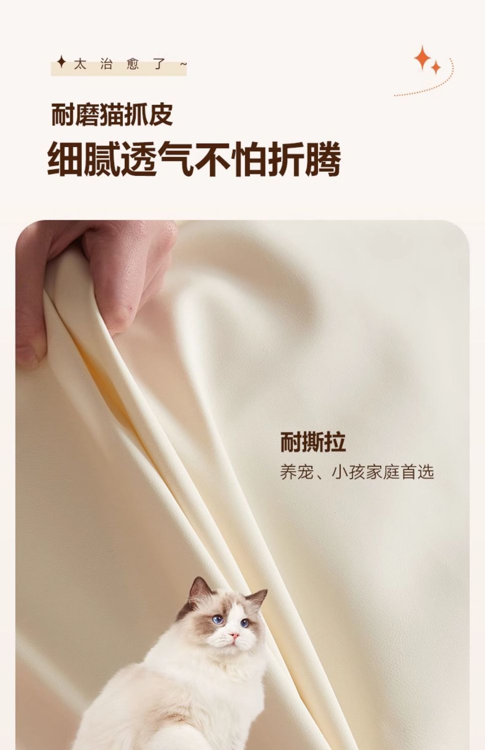 7efb0e66-7a1c-4333-a2c0-a5fee2ca32cf.jpe