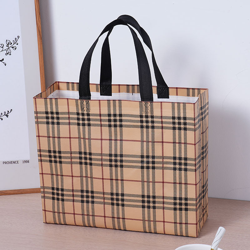Bolsa de compras gruesa nueva red no tejida bolsa de tienda de ropa bolsa de regalo portátil bolsas de ropa de mujer personalizadas lggo