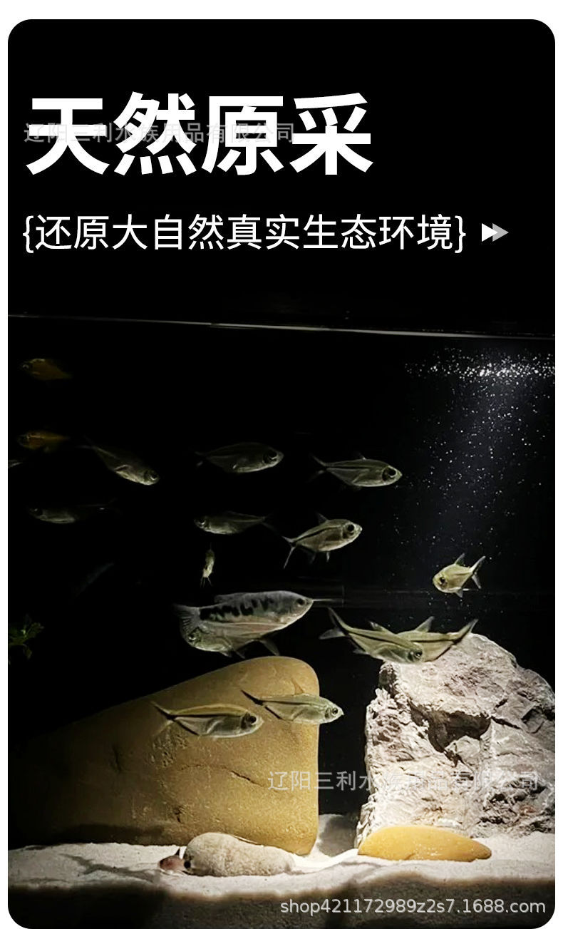 详情图