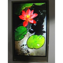 3.2�� LCDҺ���� ������ 240*400 44PIN�ӿ� ILI9327/RM68080����