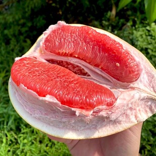 �����t����������ƽ�����r�����gϪ�����ЋD�t����