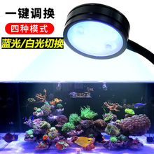 工廠直供可調亮度海缸燈微缸珊瑚燈海水藻缸燈白光藍光切換水草燈