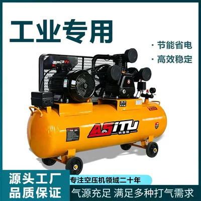Hava kompressorları Reciprocating 220V Small High-Pressure