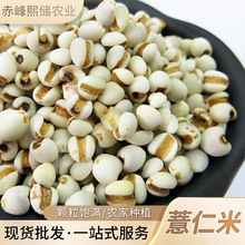 Sl޲ sZּZ޲ ޲ĥԭ޲