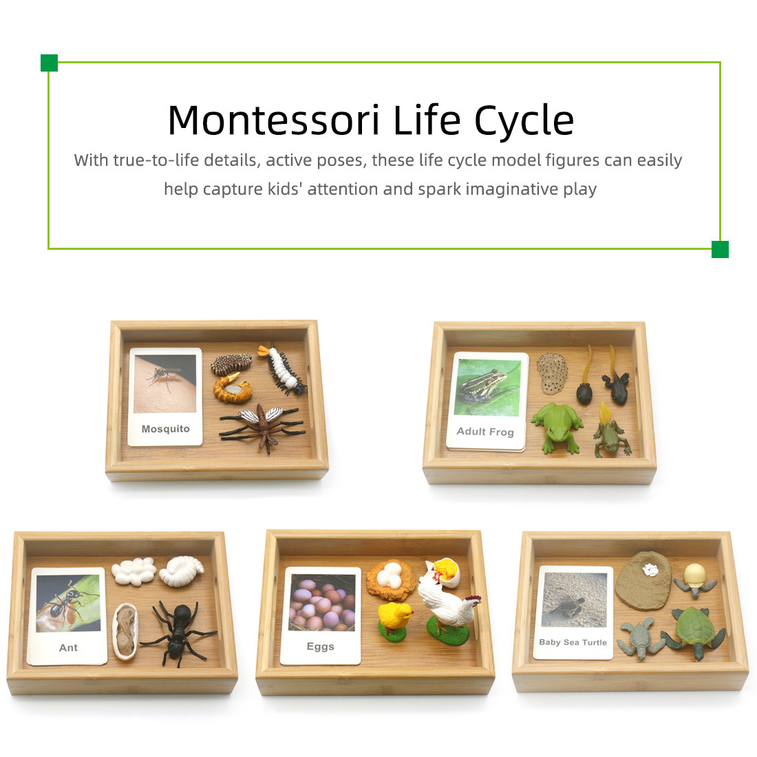 Teaching aids Montessori for baby
