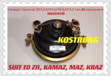 �S��ֱ�N���_˹����˹�ƄӚ���T20/20DP KAMAZ 100-3519100-10