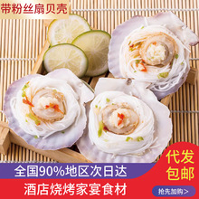 鲜冻粉丝扇贝6只装饭店商用大号半壳扇贝半成品冷冻海鲜烧烤批发