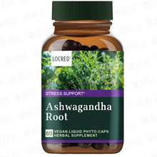 �Ϸ������z��capsule �F؛����  �羳�ӹ��� ���a�䄩