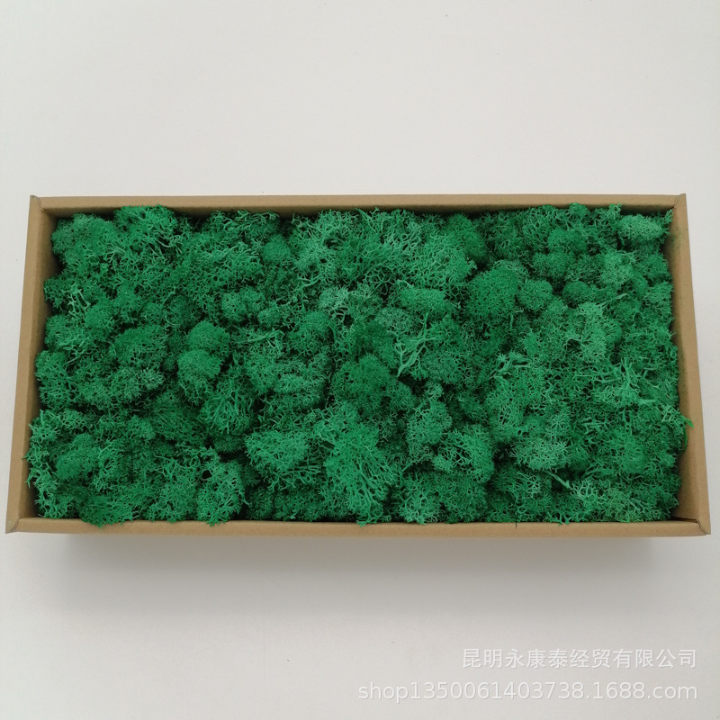 Musgo al por mayor de musgo peso neto 200g caja de regalo flores de musgo eternas accesorios para el hogar tiro ventas directas de la fábrica